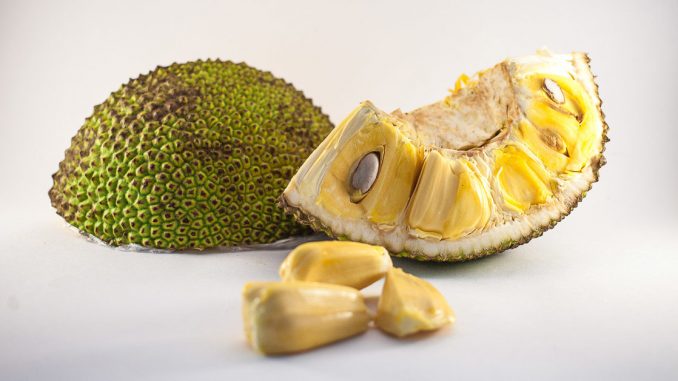 veenas jackfruit UK