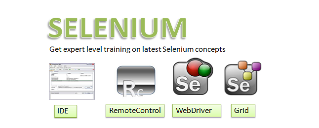 selenium training in chennai