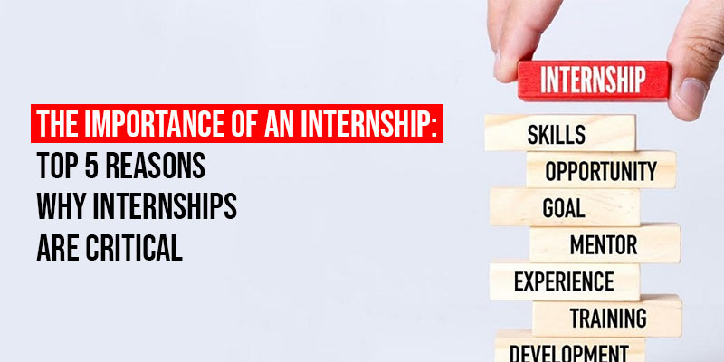 The Importance of an Internship: Top 5 Reasons Why Internships Are Critical