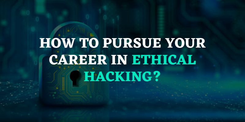 How to Pursue Your Career in Ethical Hacking
