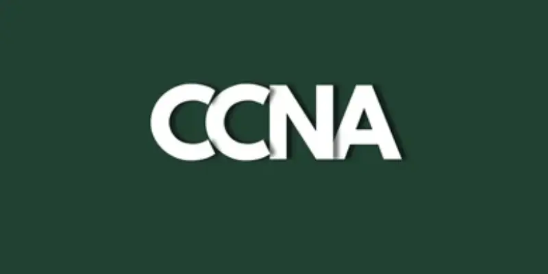 Why-Are-Network-Access-Fundamentals-Important-for-CCNA